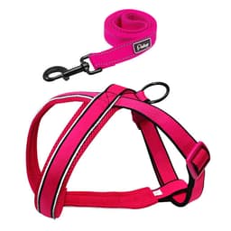 Reflective Pet Dog Nylon Harness Vest With Walking Leash Mesh Padded Adjustable Dogs Harnesses With Strap For Medium Large Pets 4