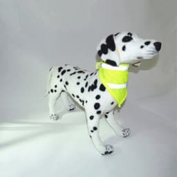 Reflective Vest Dog Safety Luminous Waterproof Puppy Clothing Vest Puppy Dog Car Pet Supplies 1