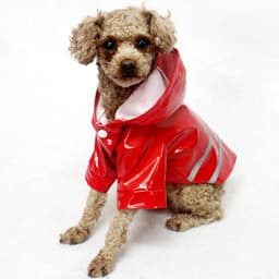 Waterproof Reflective Safety Vest Pet Dog Clothes For Small Dog Raincoat Hoodies Rain Chihuahua Pet Apparel Dog Clothing 9BY40 3