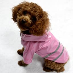 Waterproof Reflective Safety Vest Pet Dog Clothes For Small Dog Raincoat Hoodies Rain Chihuahua Pet Apparel Dog Clothing 9BY40 5